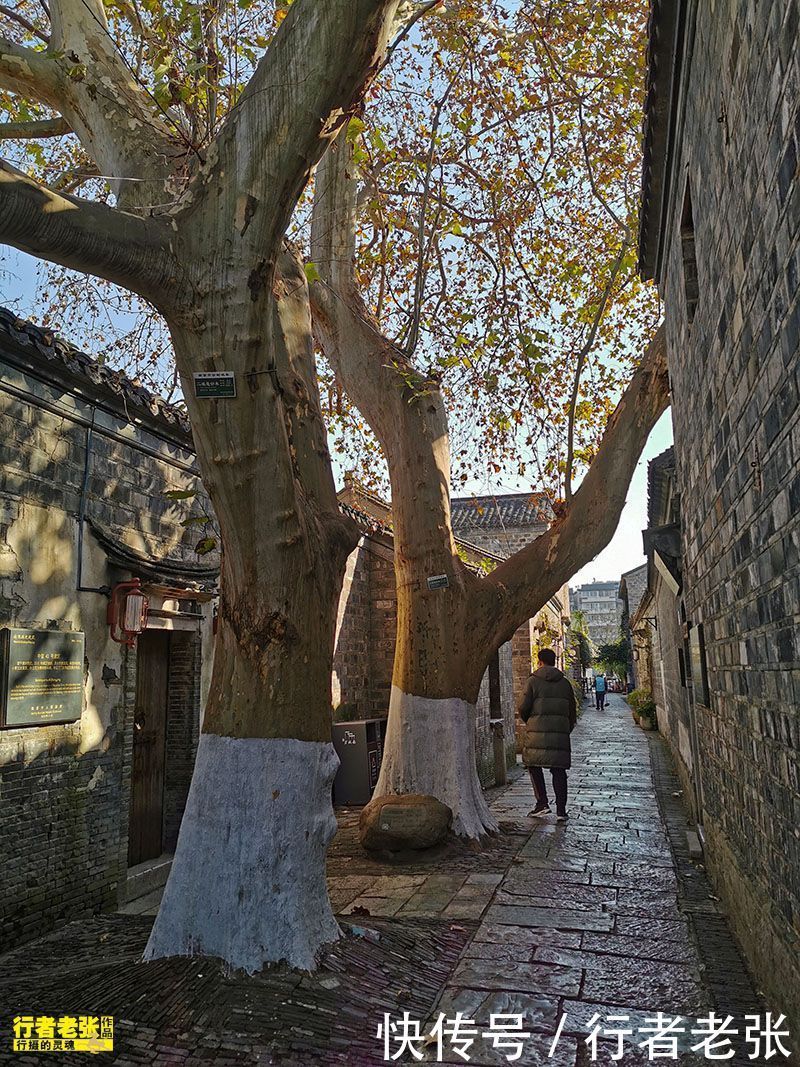 市中心|南京老门东，曾是南京城的“市中心”，明清古民居保存数量最多