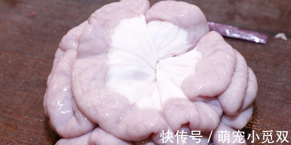 猪粉肠|牛身上不可多得的“宝贝”,肉贩子总会偷偷留下,懂行的才会吃