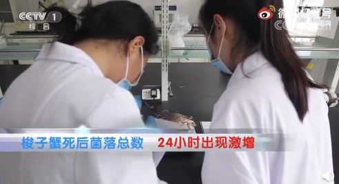 死蟹|“死蟹到底能不能吃”上热搜！网友吵翻