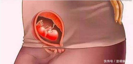 宝宝是怎么被慢慢孕育出来的,十张过程图,一切来之不易
