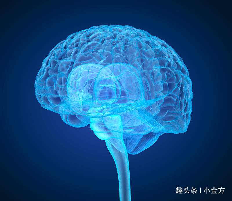 长记性|一个“长记性”的方子，喜欢忘东忘西的人看过来，中老年人请收好