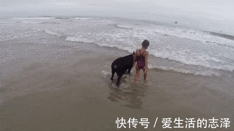 |搞笑GIF趣图: 小伙子!老夫来教你!什么叫做锻炼