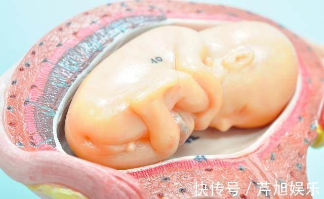 肚子|怀孕时,有的孕妈肚子大得像球,有的却不显怀,多半是这4个原因