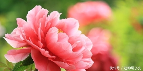 Z2iuv9jl9pjmqm Z2iuv9jl9pjmqm