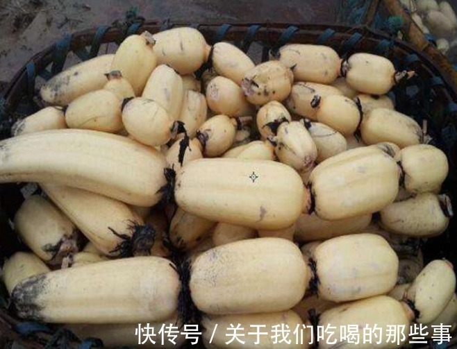 买莲藕,七孔九孔莲藕哪个好?挖藕工:口感差很多,选错了不好吃
