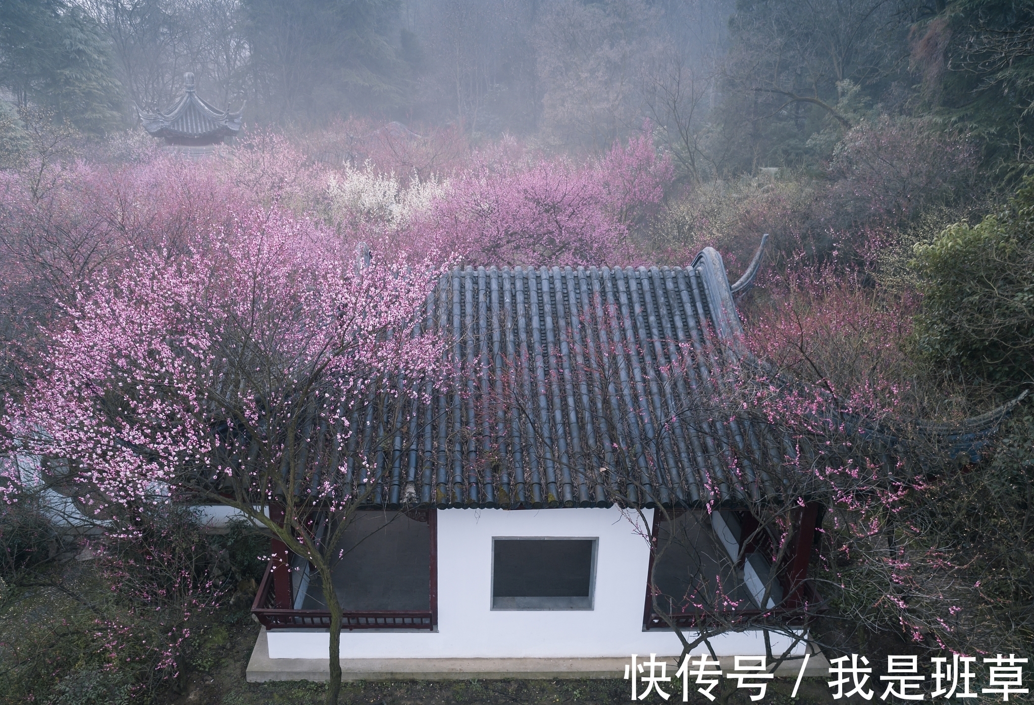 李清照&早春詩詞三首:柳眼梅腮春心動