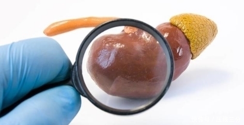 医生|医生直言：肾病远离尿毒症，没有捷径，坚持做好3件事是关键