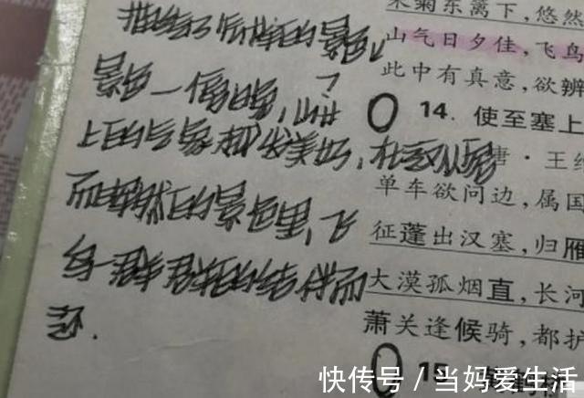 工整！中学女孩独创“饺子体”走红，字体圆滚又呆萌，老师直呼能得高分