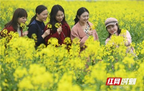 道县郊游 乐享假日