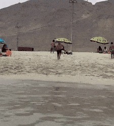 |搞笑GIF:这只小猫咪是来碰瓷的吗?原来是有惊无险,哈哈哈