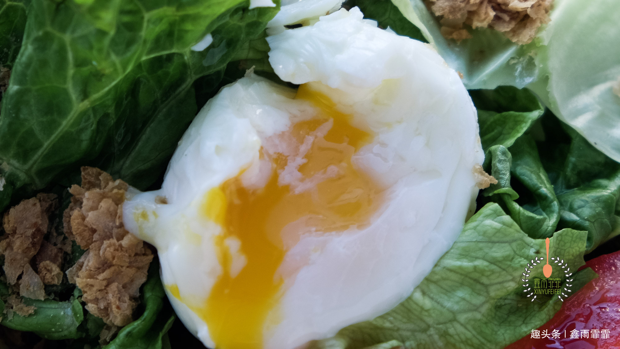 南瓜|冬季的降火早餐,虽然基本都是素食,但是营养丰富均衡,不输肉菜