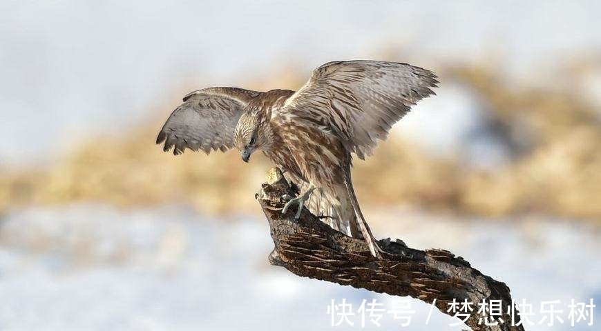 诗仙李白#从古诗词走来的十二月,冰天雪地,天寒地冻