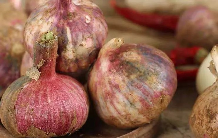 多吃大蒜防癌?发芽了不能吃?关于大蒜的6个真相,你知道几个?