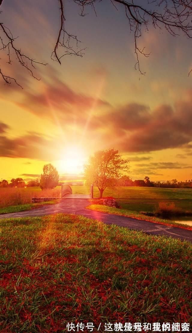 秋风$柳永最文雅的宋词小令,把每一个失意的人生,都写到了诗词中