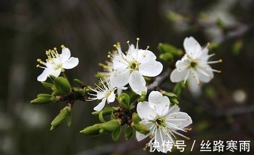 旧爱|2天后，桃花雨，旧爱复合，执手旧爱，义无反顾，爱你永不变