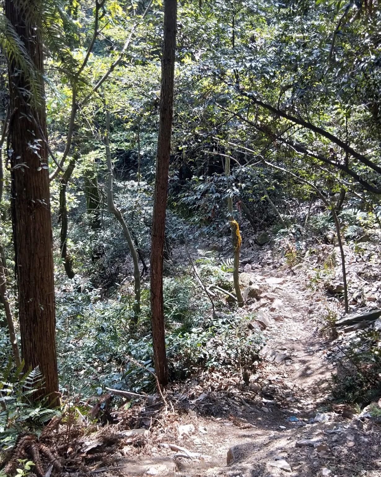 溪流|七溪流水皆通海，十里青山半入城——常熟虞山