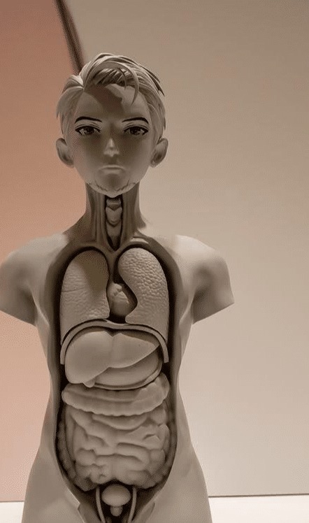 人体模型|日本人体手办出炉，国内网友纷纷无语：这也太逼真了吧！