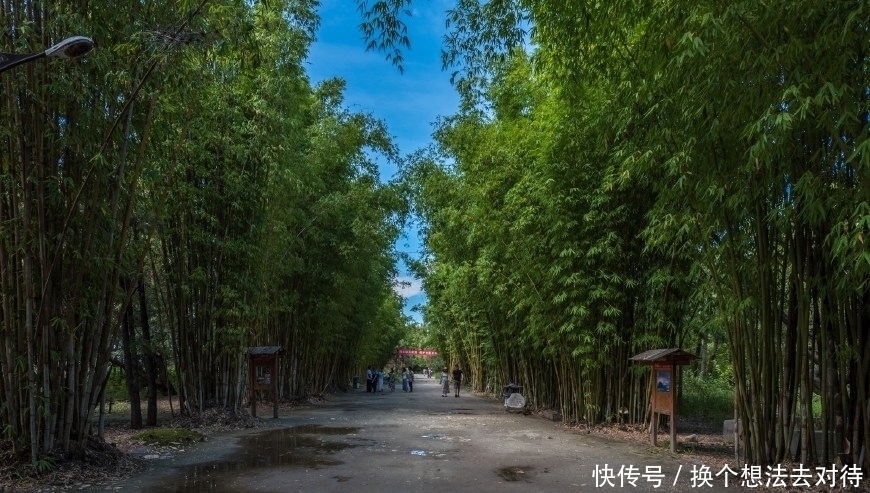 中年|洱海边最美的免费公园,非这座公园莫属