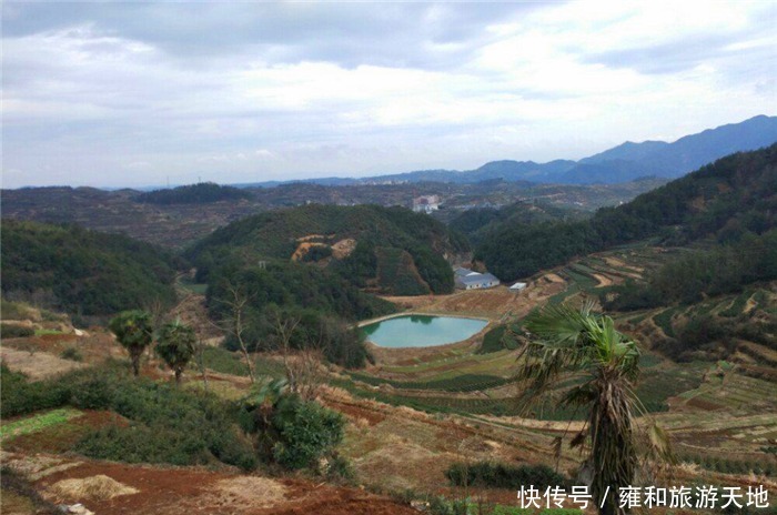 乌石村|浙江被称“夏都”的地方，年均气温超14度，远看都是“黑”房