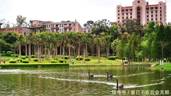  旅游|我国最美大学成旅游热点，不是公园“胜似公园”，游客比学生还多