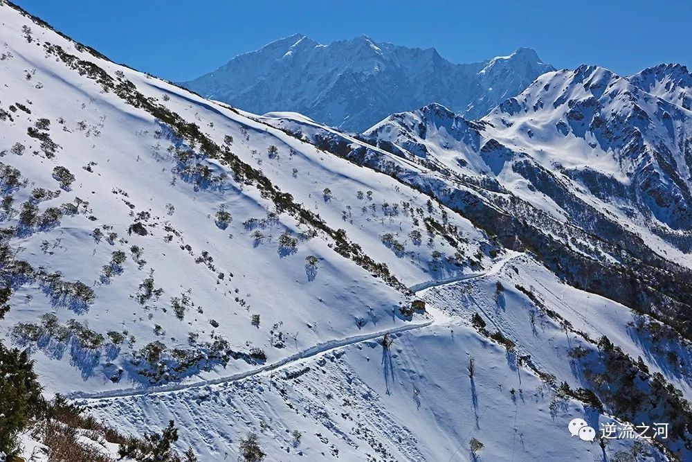  冬季到西藏，探寻山谷里的居民