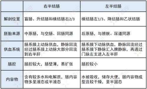 右半结肠癌|左半结肠癌 vs.右半结肠癌，这 4 大差异，你能答全吗？
