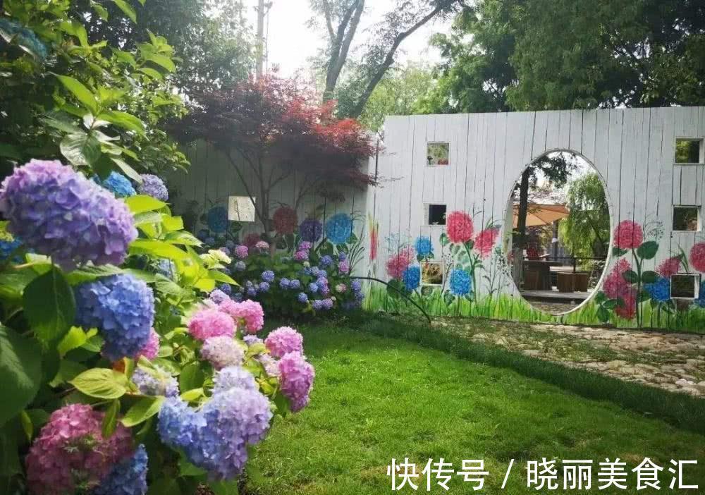 10种花“冷天”长得慢,“穷养”多晒更健壮,不然易烂根,难过冬