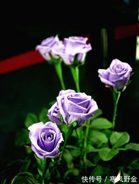 分手|相爱时很深情,分手后最绝情的四大星座,第一名最冷漠