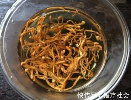 一鸽胜九鸡，炖鸽子汤焯水？教你正确做法，鸽子汤鲜肉嫩营养高