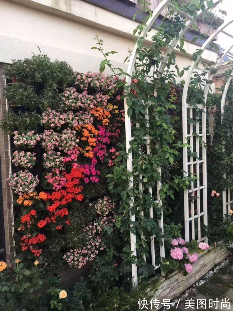 花草|历时一年，在31楼打造300㎡“屋顶花园”，如今美成了仙境