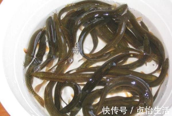 便秘|痔疮的“死对头”，只要每天吃一点，赶走痔疮不复发，便秘也没了