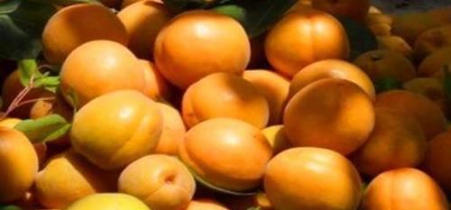 女性想身体好，推荐3种食物，排毒抗衰，降压降脂，清理血管垃圾