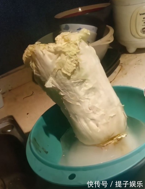 草原上升起不落的太阳|“放羊娃”到年入千万,阿宝身份被揭穿后,如今成了这个样子