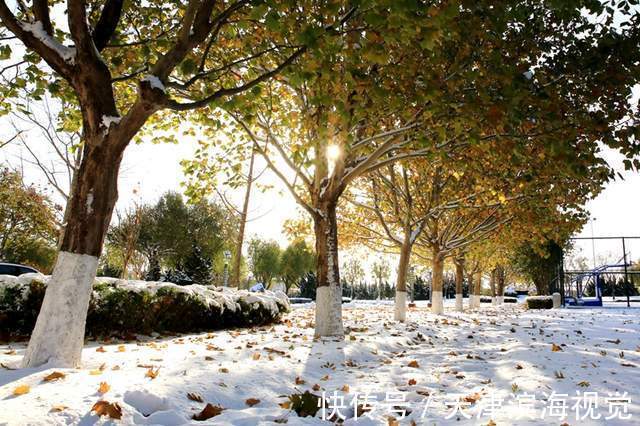 咏冰颂雪$咏冰颂雪迎冬奥