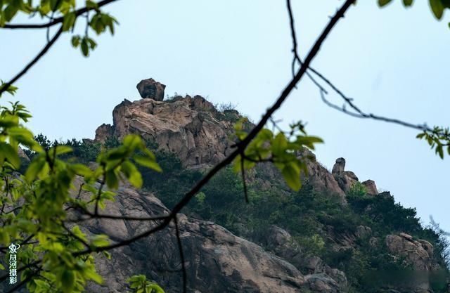 日照市五莲县潮河镇刘家坪村--茶引文化