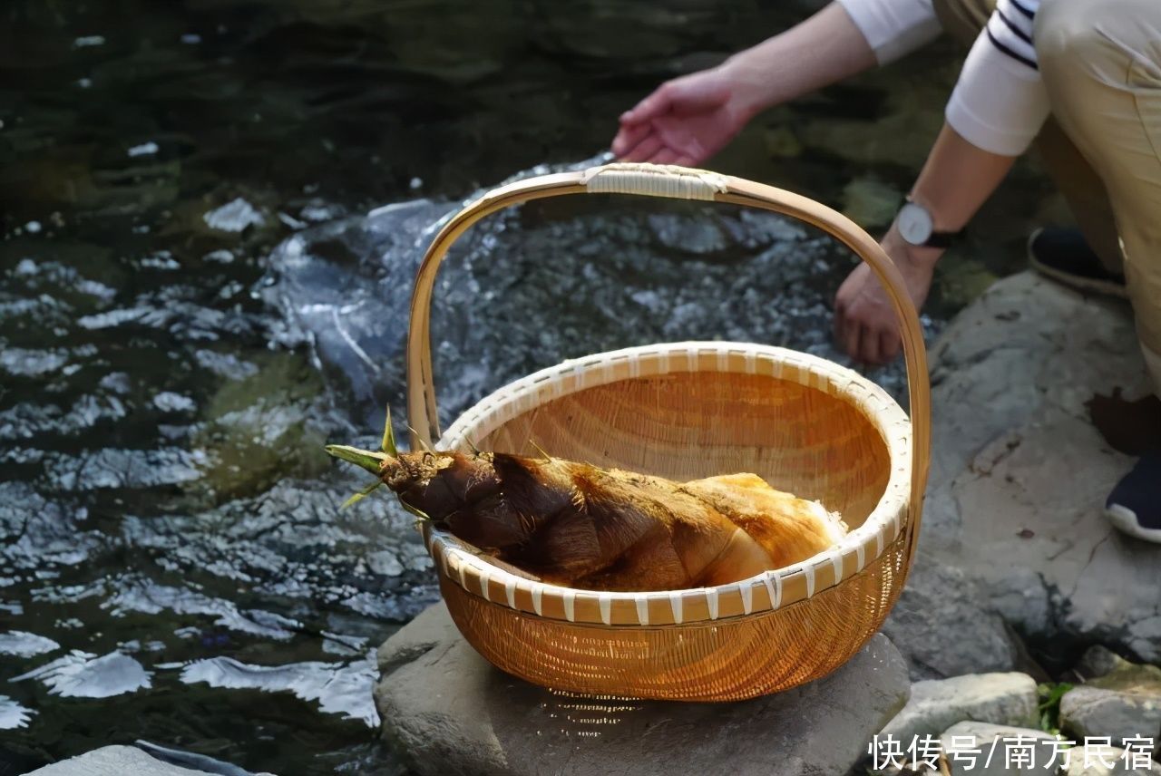 息心庐|安吉竹林深处精品民宿，拥泉而居枕山而眠享山野静谧生活丨息心庐