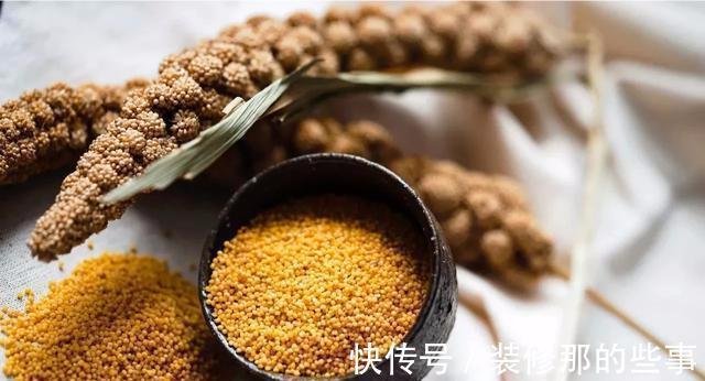 营养物质|吃小米的人注意了！这么吃更科学、更营养