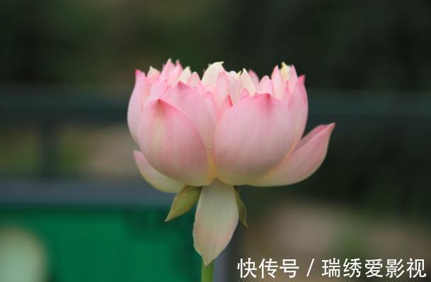 端午节|福祸相依：人生出现这几件“祸事”，其实是福气来临