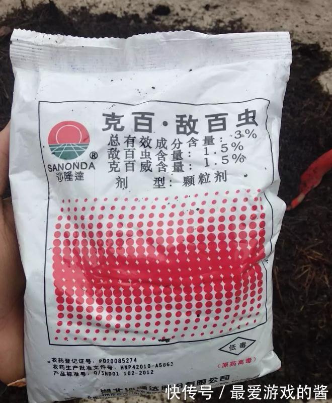 这样配土，月季不爆发才怪，你都了解过嘛