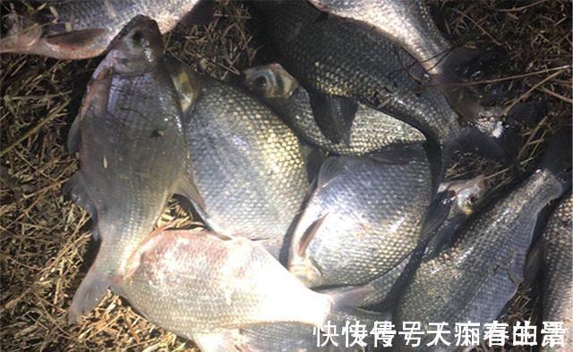 技巧|夜钓调漂技巧,晚上鱼情好光线差,灵钝还是其次,关键要看得清楚
