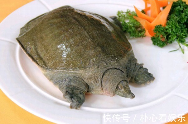 黄瓜|天天和芹菜打交道,才发现芹菜的一种吃法还有毒,赶快告知家人