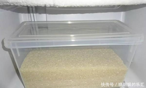 5个保存大米的小技巧,此做法,大米不生虫,不霉变,久放不变味