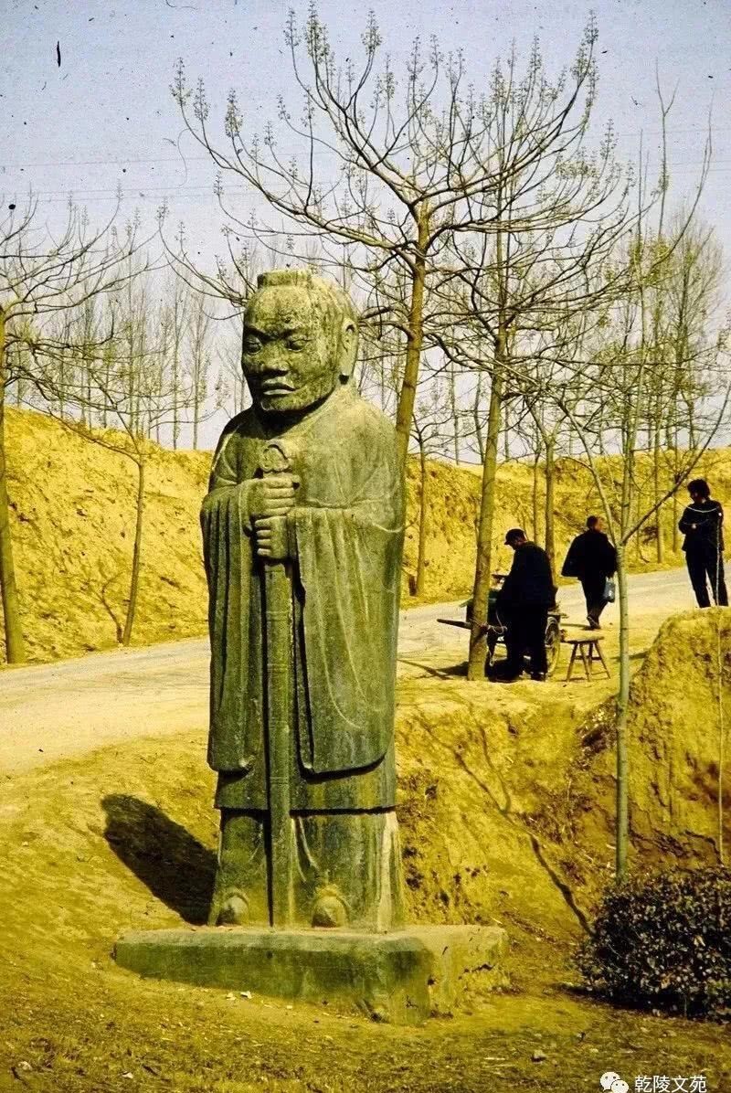 举世闻名|举世闻名的乾陵