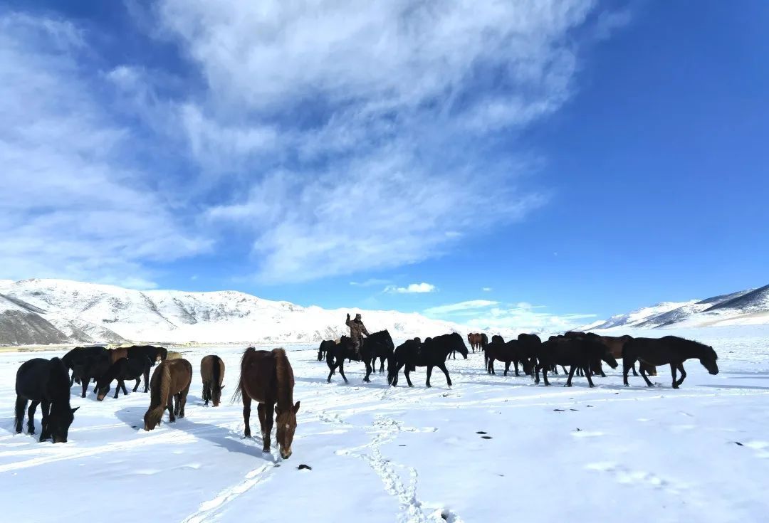 人来自|-38℃，骑马的兵哥哥真帅！