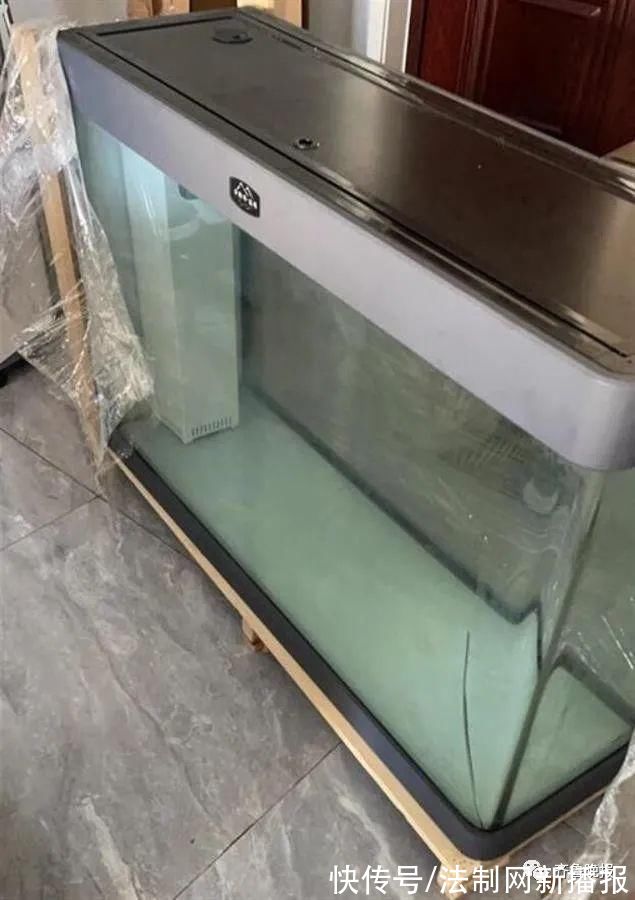 山东一女子网购鱼缸漏水，改养“芦丁鸡”火了!网友:换个思路办事儿