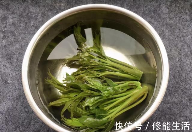 香椿芽|春天，豆腐和它才是绝配，不炒也不煎，焯下水拌一拌，太解馋了