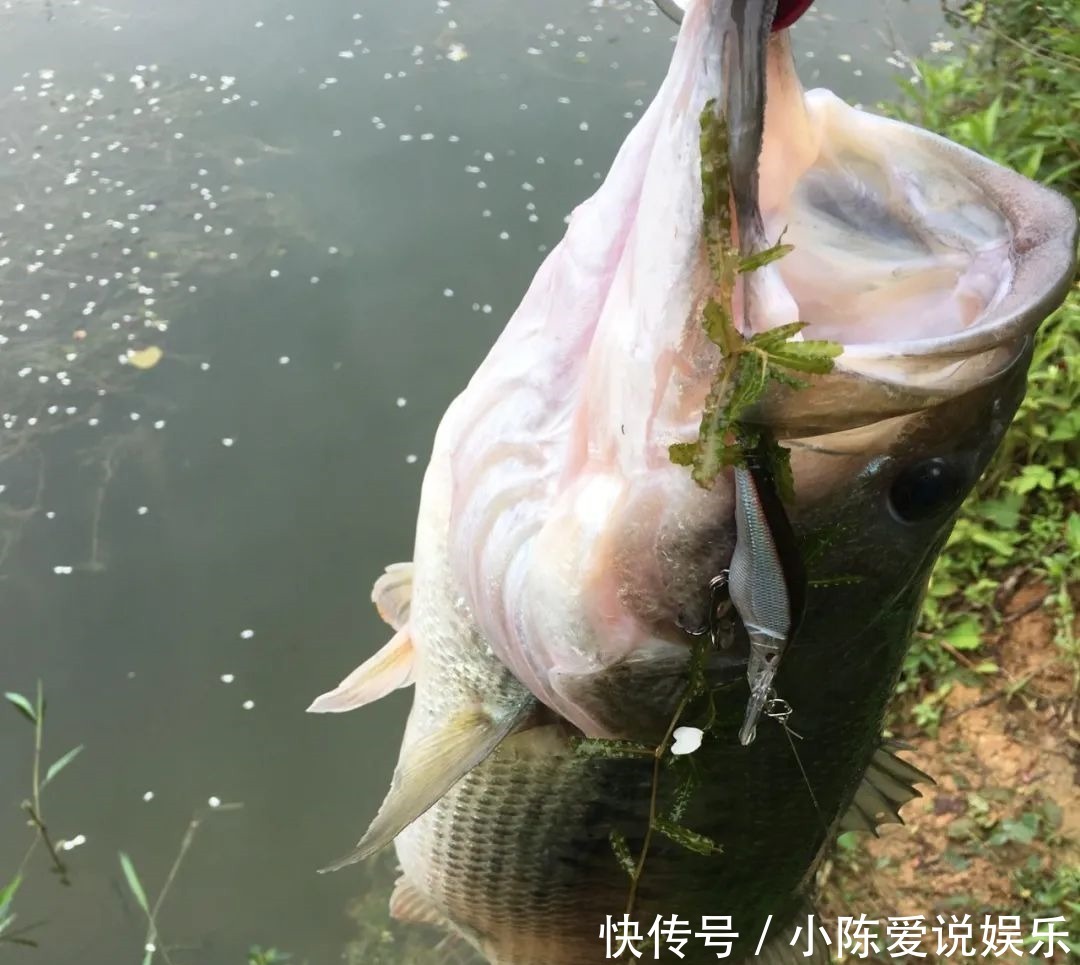 钓鱼和不钓鱼有哪些区别?你可能没发现,钓鱼人有6个特征