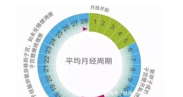 十月|明明是“十月怀胎”,为啥只有280天?过来人告诉你孕周该咋算