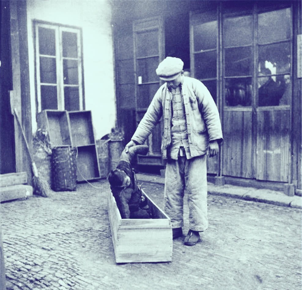 真实写照|4张罕见照:民国时期职业收尸人的真实写照,图4军阀张宗昌的“洋太太”