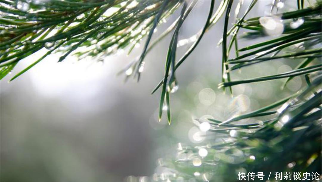 写出|秦观这首词连苏轼都服气,美得如诗如画,写出了不一样的春色美景